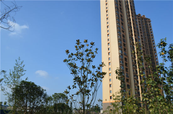 旺城天譽實景圖